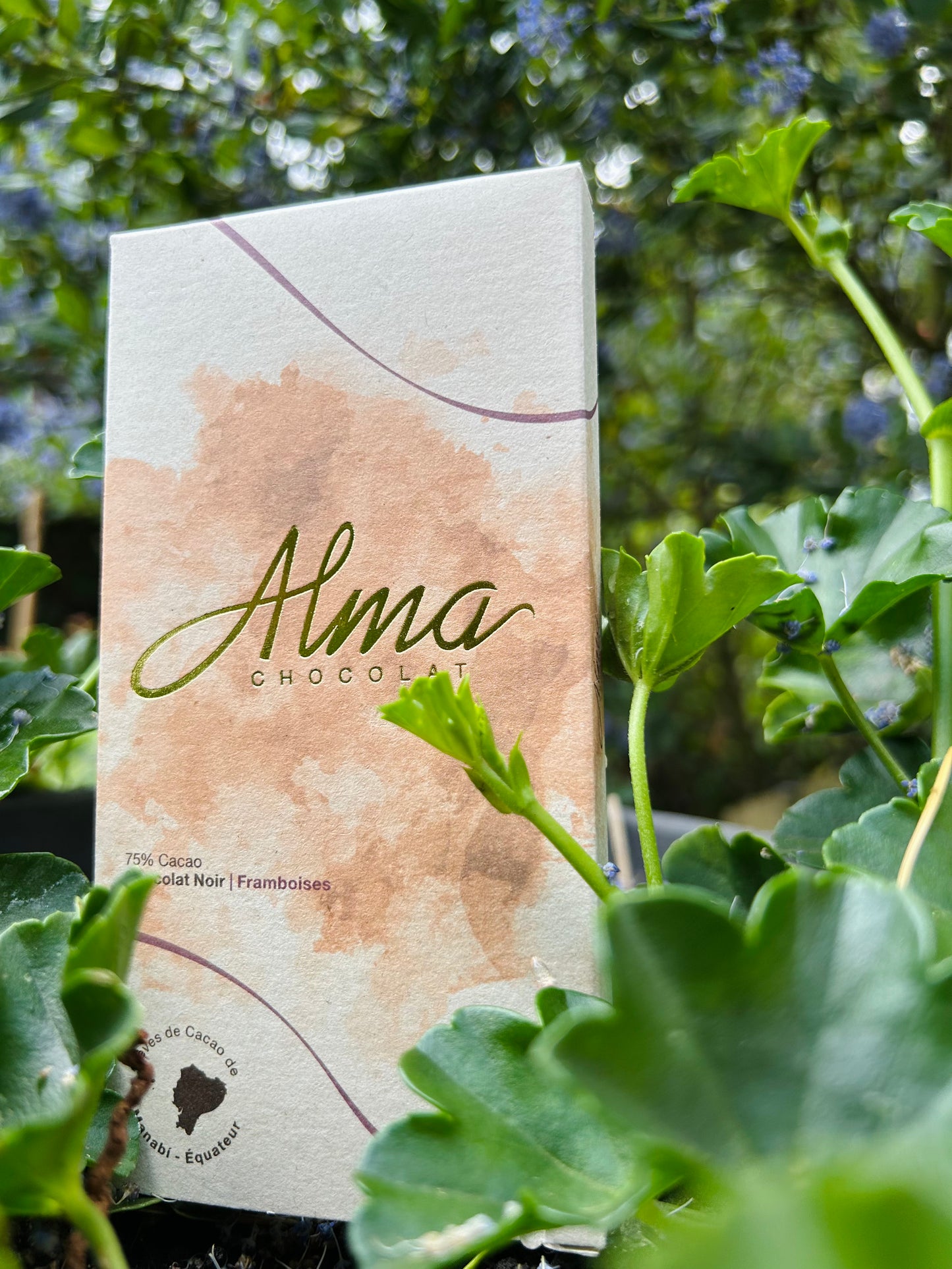 Chocolat noir framboise Alma, inspiré du cacao équatorien et de la nature luxuriante – Alma Chocolat