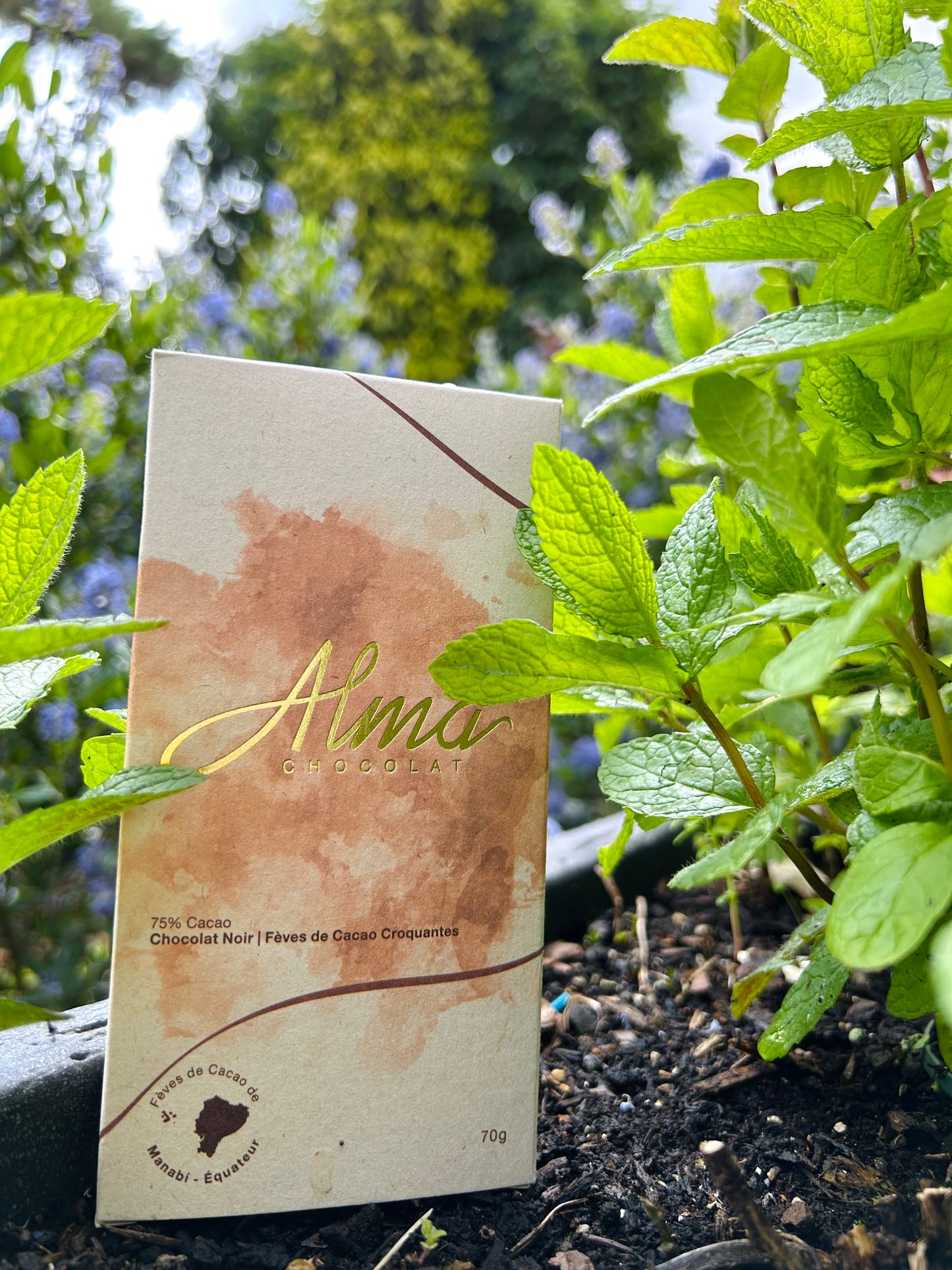 Chocolat noir Alma 75% aux fèves de cacao, alliance d’intensité et de croquant